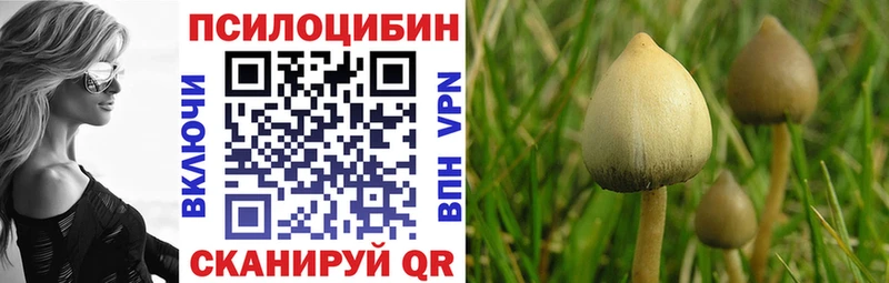 Галлюциногенные грибы Magic Shrooms  Купить где  Зеленоградск 